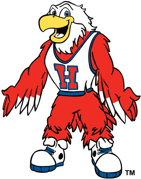Hartford Hawks 1984-Pres Mascot Logo v2 diy iron on heat transfer